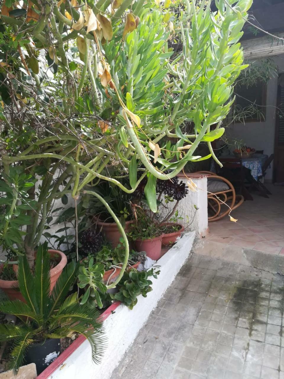 Le Case Di Vito Favignana Ngoại thất bức ảnh