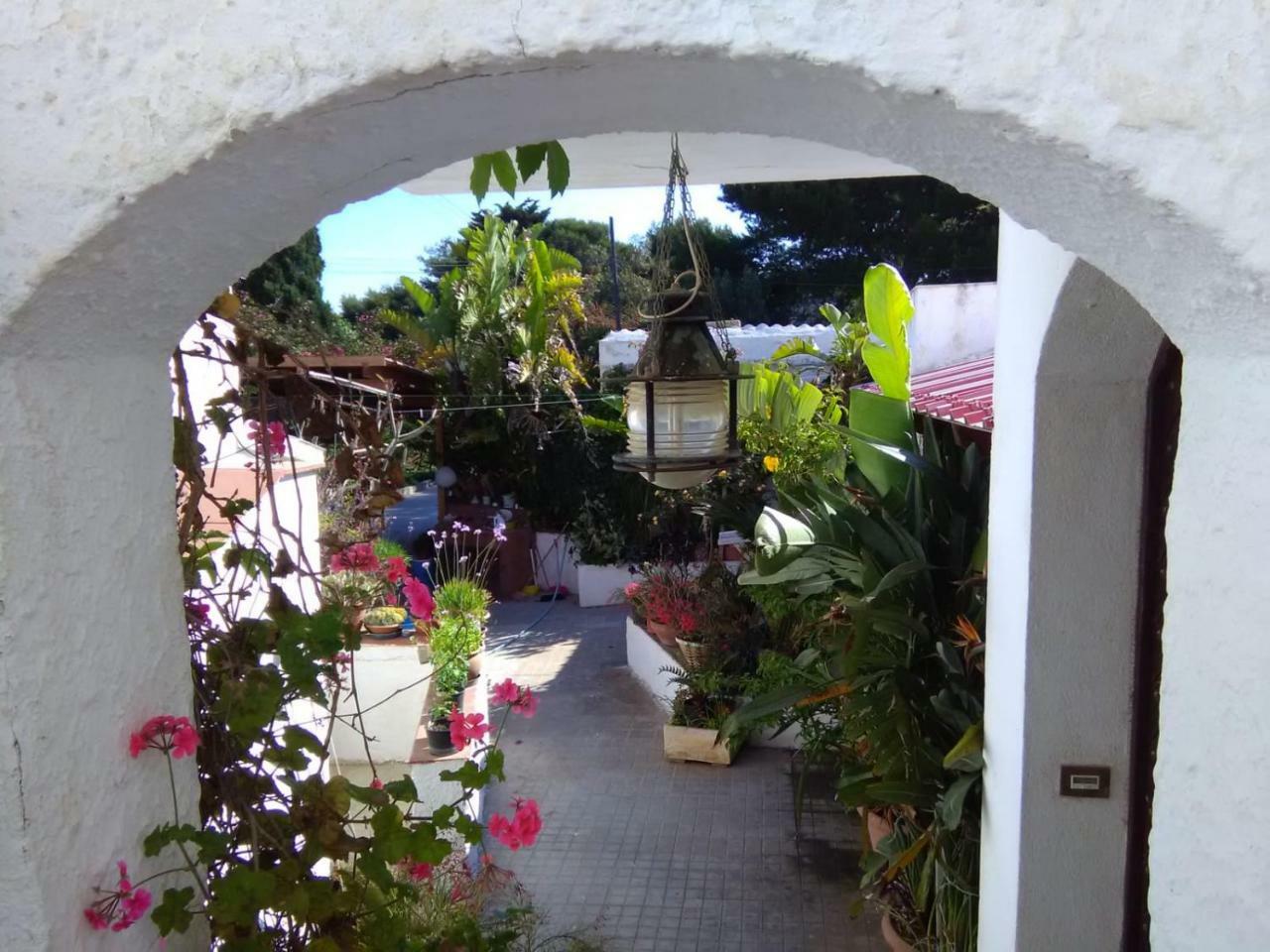 Le Case Di Vito Favignana Ngoại thất bức ảnh